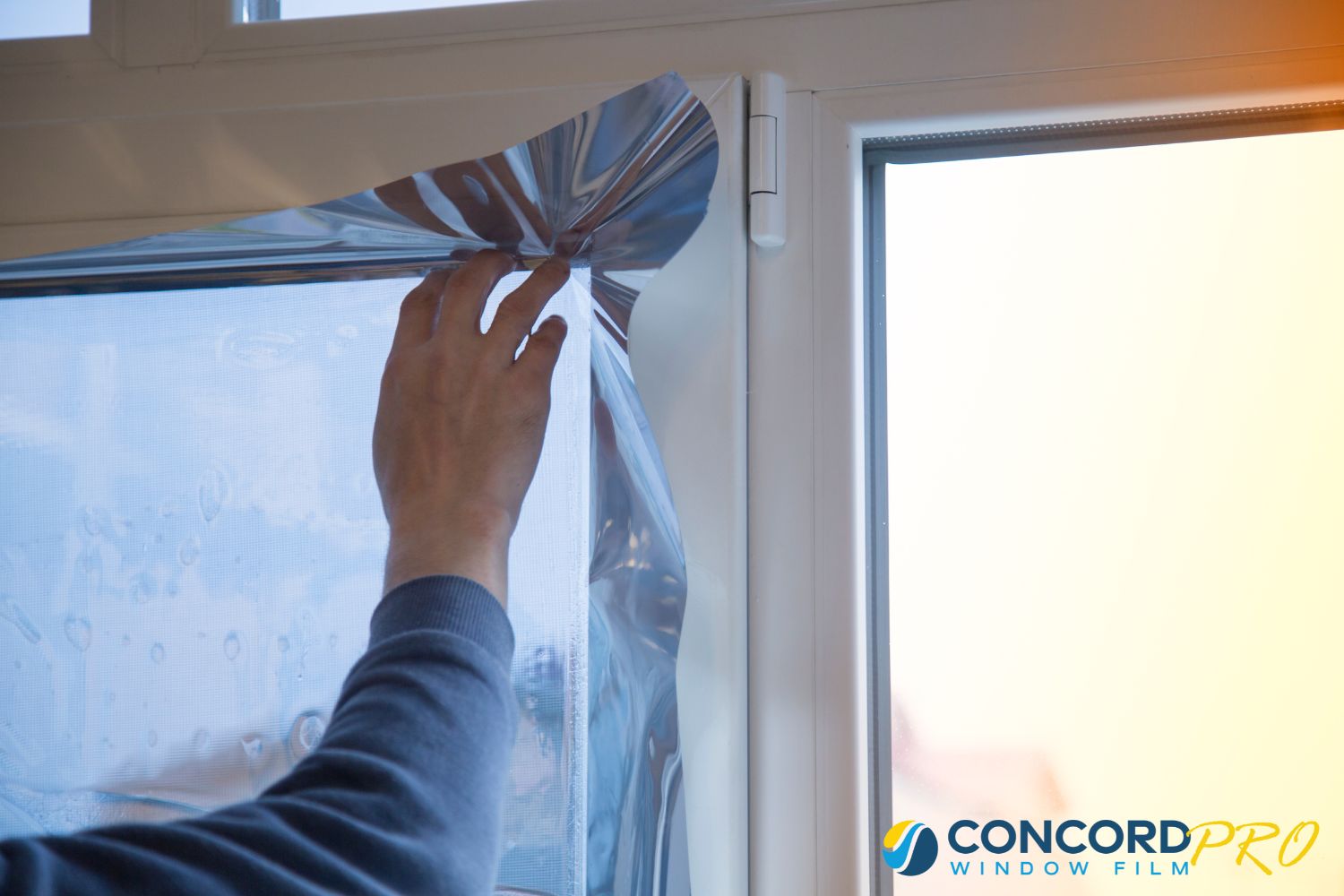 Concord Pro installing window film as an add-on service in a customer's home.